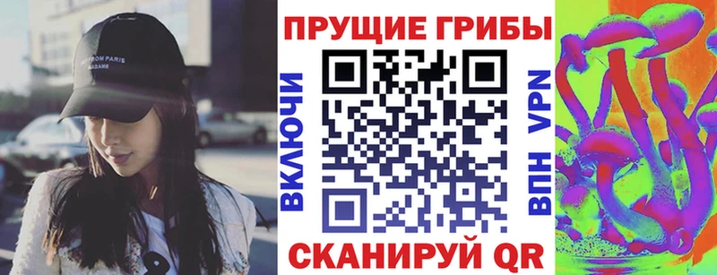 Купить где Краснокаменск Псилоцибиновые грибы мицелий